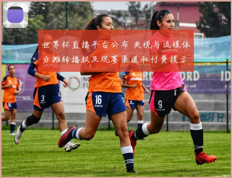 世界杯直播平台公布 央视与流媒体分摊转播权及观赛渠道和付费提示