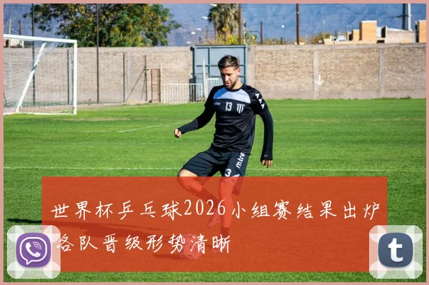 世界杯乒乓球2026小组赛结果出炉 各队晋级形势清晰