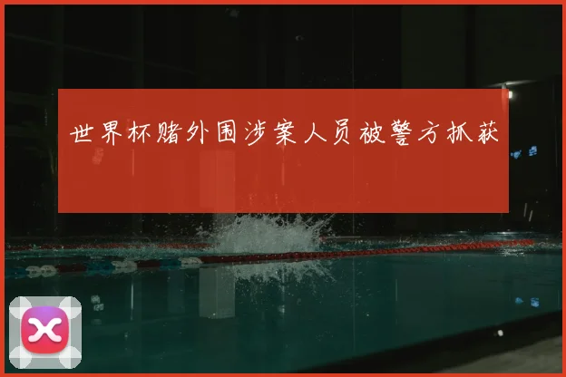 世界杯赌外围涉案人员被警方抓获