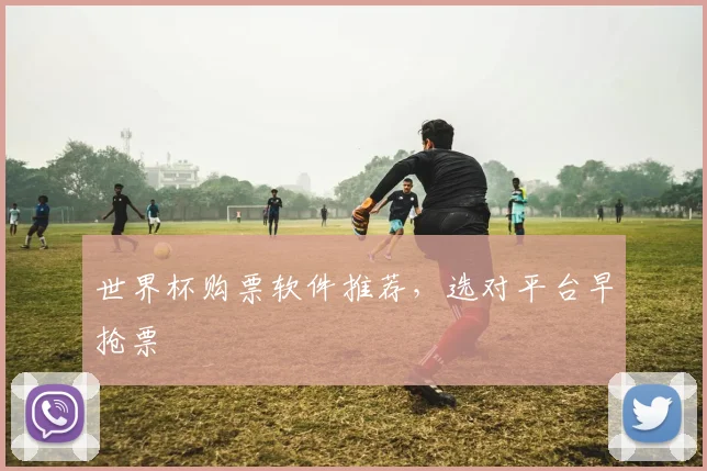 世界杯购票软件推荐，选对平台早抢票